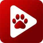 Bear Downloader Code
